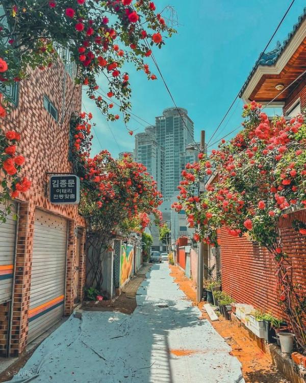 50張圖片展示出韓國不一樣的一面