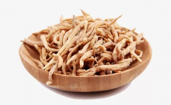 “虛不受補”的人，冬天該如何進補？