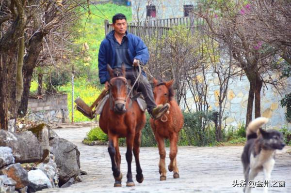 來雨補魯，尋找遺落天坑的鄉愁