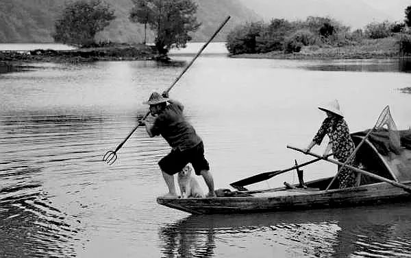 陸橋烏龜肉——江陰美食