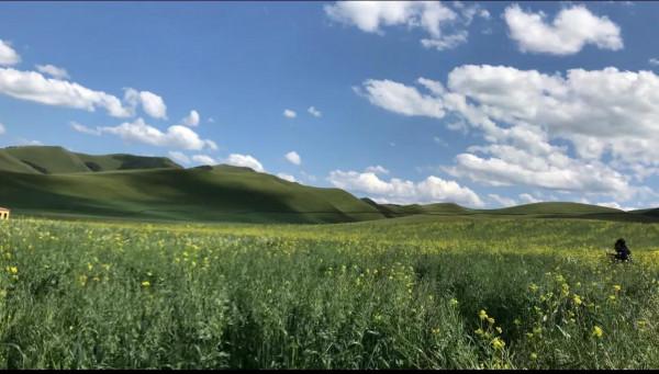 提前打樣 壩上草原最美的風景 實景拍攝 美不美你說了算