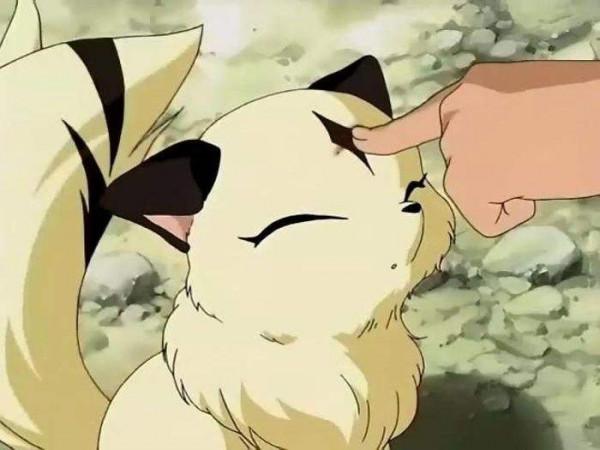 虎年說貓：動漫裡的那些貓咪們