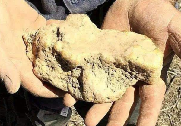 濟南老農意外挖出純金塊,專家聞訊趕來後,發現了一盒西漢雞蛋 濟南老農意外挖出純金塊,專家聞訊趕來後,發現了一盒西漢雞蛋