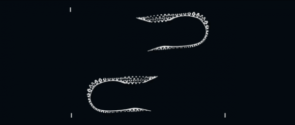 中底鏤空的4D列印跑鞋,真的能用來跑步嗎? 中底鏤空的4D列印跑鞋,真的能用來跑步嗎?