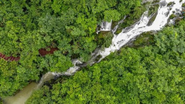 廣東最美的湖泊，碧綠如仙境，還是國家級溼地公園