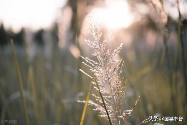 《淮南子》:不要拿狹隘的認知,去衡量客觀的世界 《淮南子》:不要拿狹隘的認知,去衡量客觀的世界