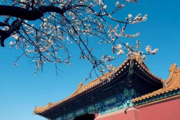 皇甫冉很好背的一首詩,入選《唐詩三百首》,短短4句情深意重 皇甫冉很好背的一首詩,入選《唐詩三百首》,短短4句情深意重