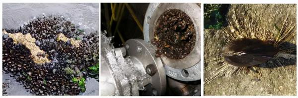 玩轉配位化學與微流控合成的另類“大師”