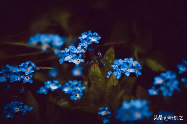 如果你感覺撐不下去了，不妨看看凌晨的朋友圈