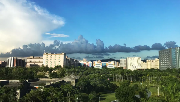 南山科技園裡,當一個程式設計師決定不再996式奮鬥 南山科技園裡,當一個程式設計師決定不再996式奮鬥