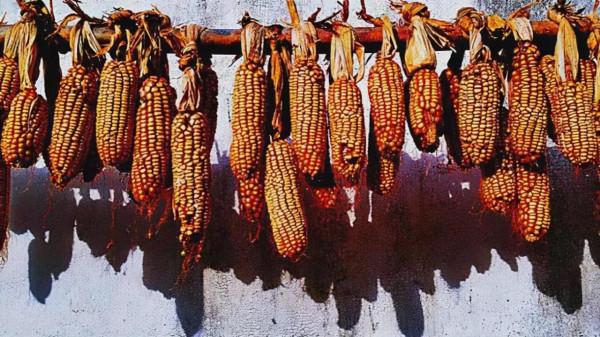 11月，必去的10個古村落，每一個都美得獨特，讓你不想離開