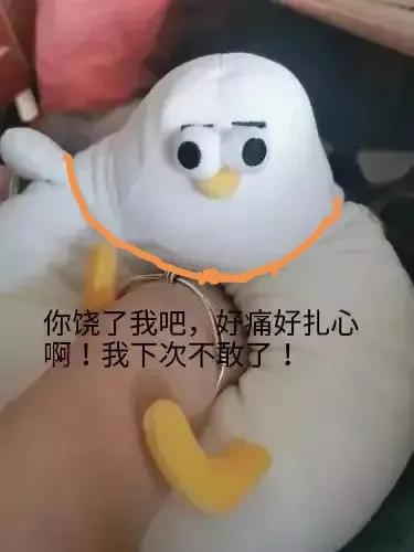 “海鷗”還得倩偶老代筆替你對是吧（1）