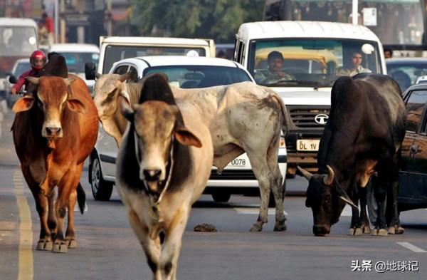 印度公路里程世界第一,800萬公里,遠超中美,是怎麼做到的? 印度公路里程世界第一,800萬公里,遠超中美,是怎麼做到的?