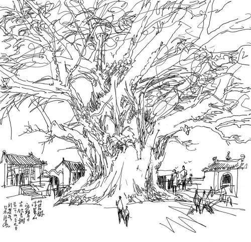 當代散文｜|情繫沂蒙故土情