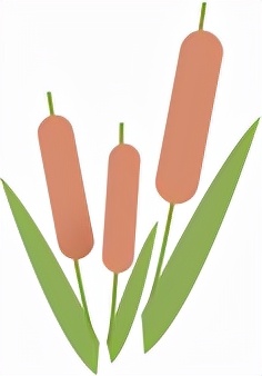 河南特色美食篇 河南特色美食篇