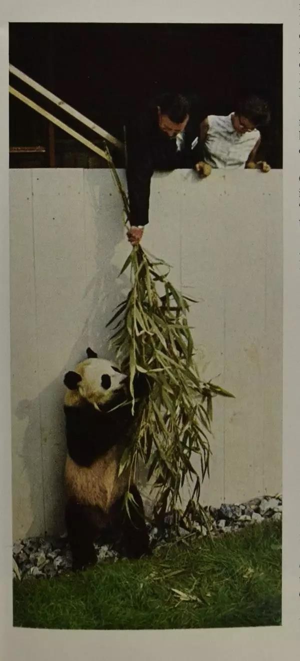 1972年,周恩來送尼克松夫人一盒香菸,接著說一番話讓她激動不已 1972年,周恩來送尼克松夫人一盒香菸,接著說一番話讓她激動不已