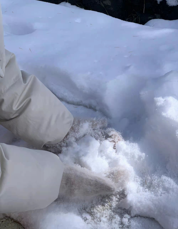20歲的我在湄公河上的一段愛情