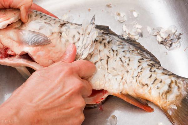 日本平均壽命預期84歲?調查9萬日本人飲食:“七多吃一少吃” 日本平均壽命預期84歲?調查9萬日本人飲食:“七多吃一少吃”