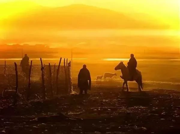 秋天，一定要去一次甘南！