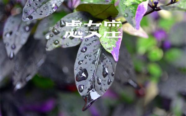 星座運勢11月19日:雙子座有利可圖,天蠍座要晉升,處女座忌冒險 星座運勢11月19日:雙子座有利可圖,天蠍座要晉升,處女座忌冒險