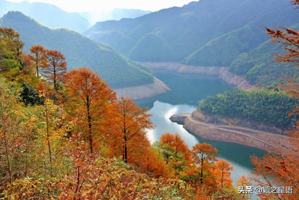 寧波有個古村,媲美篁嶺秋色,去過25次,你去過嗎 寧波有個古村,媲美篁嶺秋色,去過25次,你去過嗎