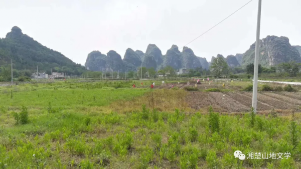 那一夜月亮好圓好亮 那一夜月亮好圓好亮