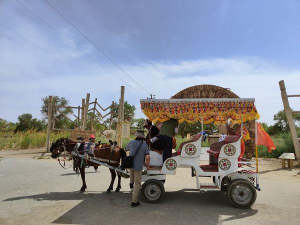 大美新疆（十）羅布人村