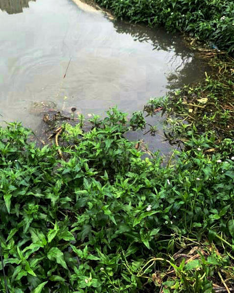 浙江釣友釣起未知水族，因未帶抄網拉不起來，就看到兩隻爪子