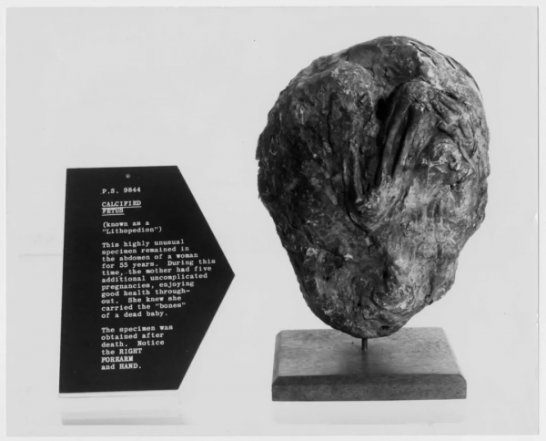 毀三觀！28張圖片告訴你：電影原來這樣拍，很多事情真奇葩