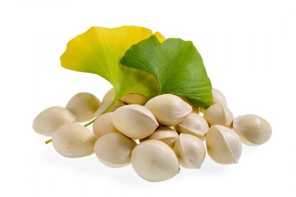 銀杏葉泡水喝安全嗎 銀杏葉泡水喝安全嗎