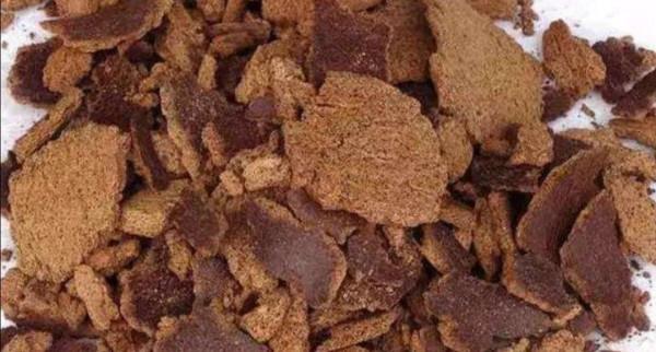 花肥不用買,教你在家制作“萬能肥”,花卉長得旺、葉子綠 花肥不用買,教你在家制作“萬能肥”,花卉長得旺、葉子綠