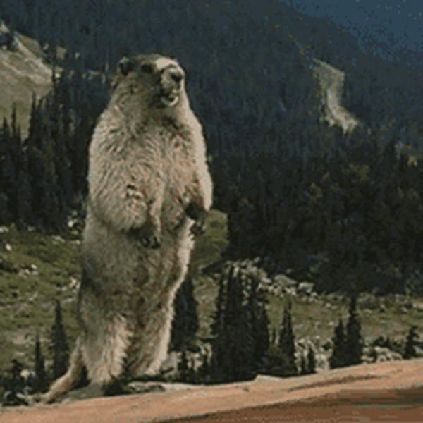 利率下行,普通人應該如何投資? 利率下行,普通人應該如何投資?