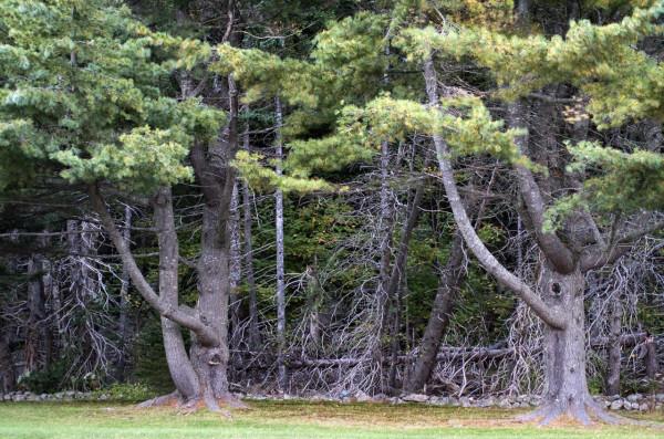 回顧加拿大之旅——布雷頓角
