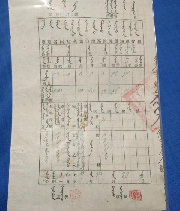 寧夏1953年的11張照片