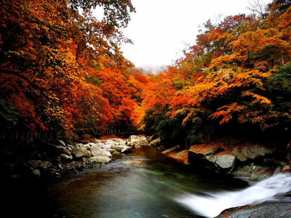 秋色來襲!7條自駕公路一網打盡四川最美風光,你去過幾條? 秋色來襲!7條自駕公路一網打盡四川最美風光,你去過幾條?