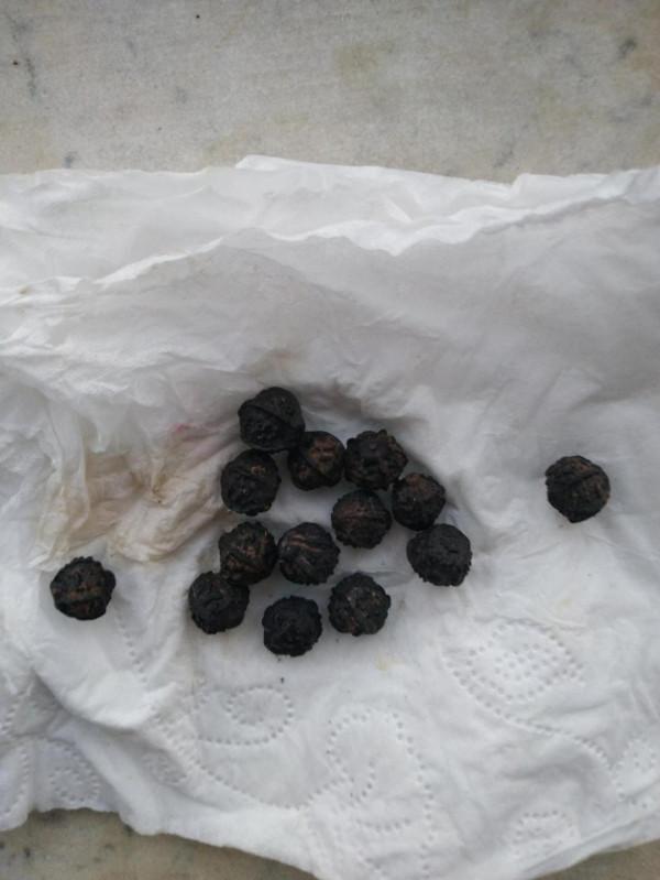 步行下班(八) 步行下班(八)