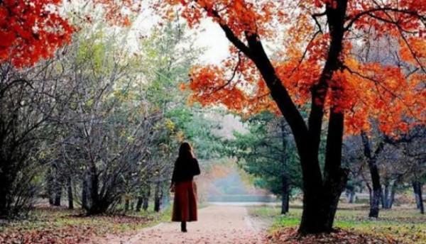傷感的秋：