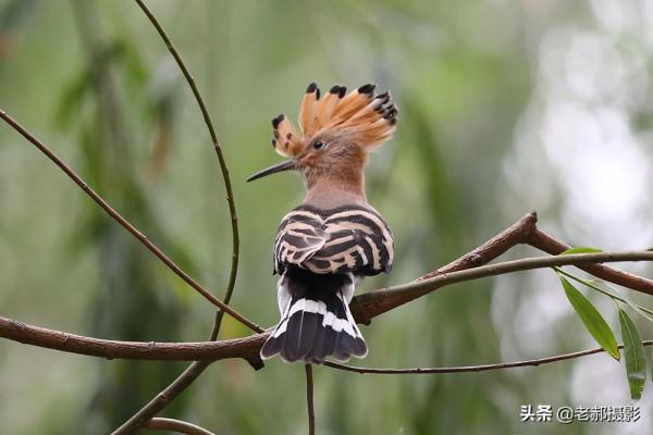 展現自己的美麗看心情