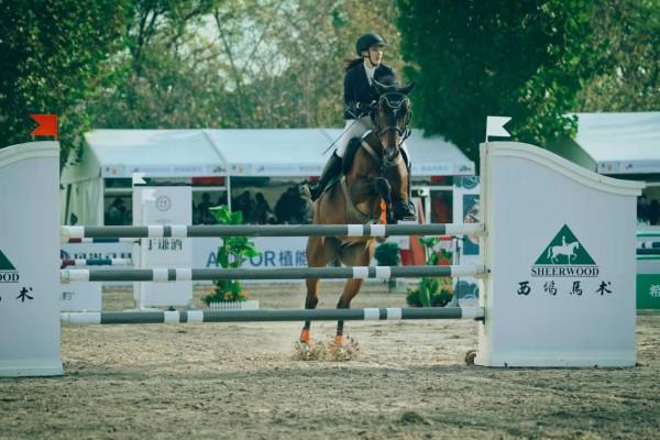 年青盛事 馬不停蹄