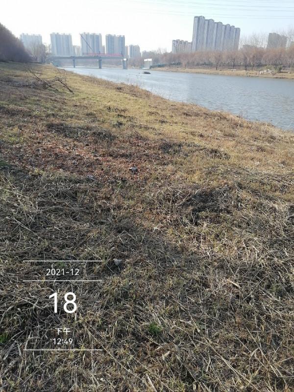 寒風凌冽再戰清河,鯽魚妹妹熱情似火 寒風凌冽再戰清河,鯽魚妹妹熱情似火