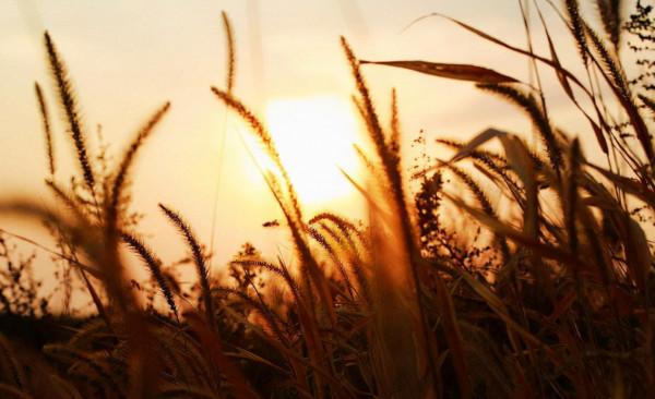 我們越來越愛回憶了,十二首憶舊的詩詞,懷念曾經的美好 我們越來越愛回憶了,十二首憶舊的詩詞,懷念曾經的美好