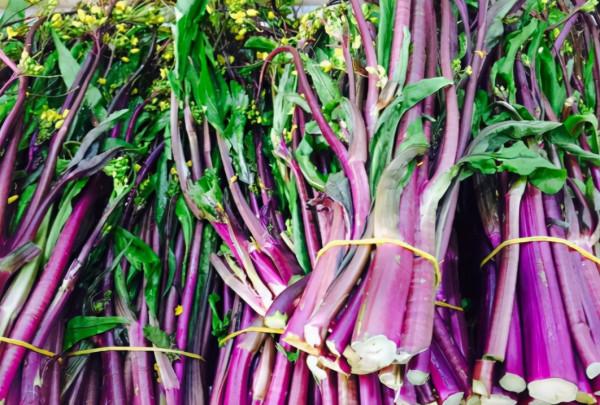 我國的特產蔬菜紅菜薹,曾與武昌魚齊名,種1次收8次,天冷更好吃 我國的特產蔬菜紅菜薹,曾與武昌魚齊名,種1次收8次,天冷更好吃