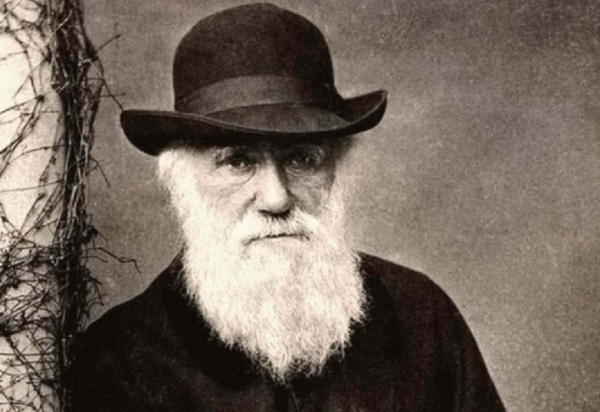 地球上本來沒有人,人類從何而來?第一個誕生的人是男人還是女人 地球上本來沒有人,人類從何而來?第一個誕生的人是男人還是女人