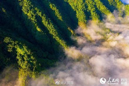 四川宜賓現竹海雲海美如仙境 四川宜賓現竹海雲海美如仙境