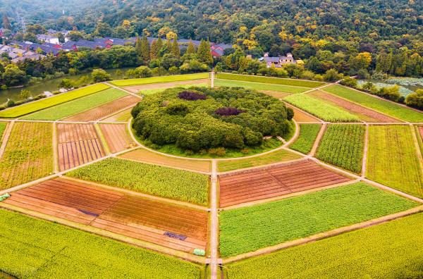 從陰陽八卦看世界 從陰陽八卦看世界
