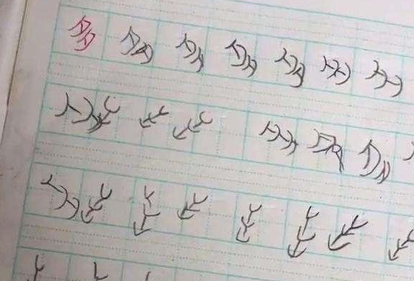 小學生罰抄“羅”字火了,寫出了三維立體感,這字好像有了靈魂 小學生罰抄“羅”字火了,寫出了三維立體感,這字好像有了靈魂