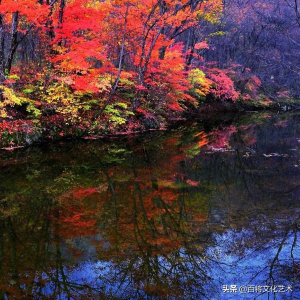 段共生「將軍書法」卻道天涼好個秋 段共生「將軍書法」卻道天涼好個秋