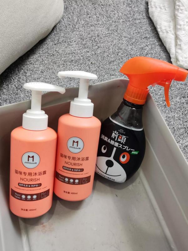 明明經常洗澡，貓咪身上為什麼還會有臭味兒？