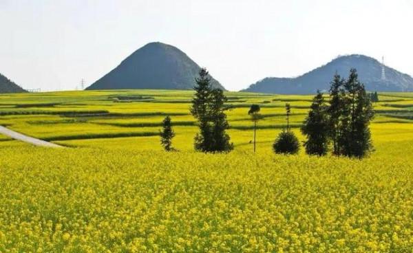2月份國內最精美的旅行地，有這5個足夠了，景美人少溫度適宜