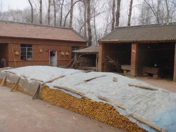 內蒙古的農村什麼樣?走,帶你看看 內蒙古的農村什麼樣?走,帶你看看